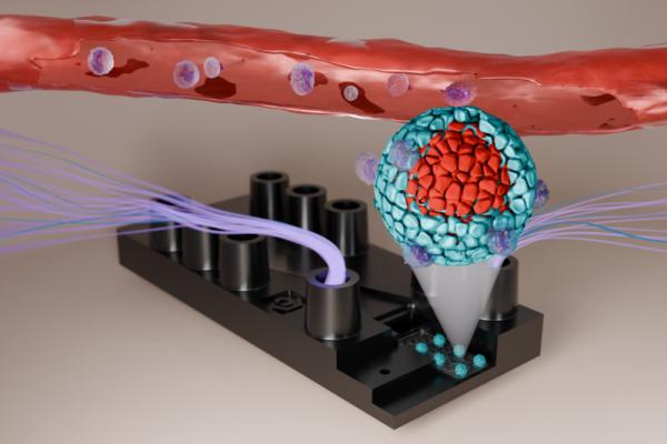 Durchbruch im Kampf gegen Bauchspeicheldrüsenkrebs mit "Tumor-on-Chip"