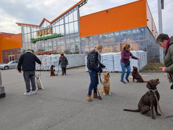 Hundeschule Luftleine aus Trebur trainiert im OBI-Baumarkt