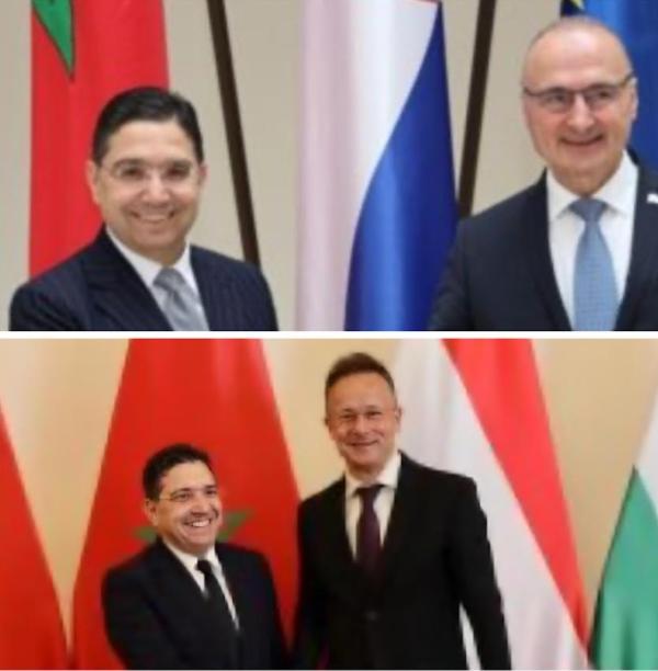 Kroatien und Ungarn schließen sich Estland und Moldawien an und unterstützen den marokkanischen Autonomieplan