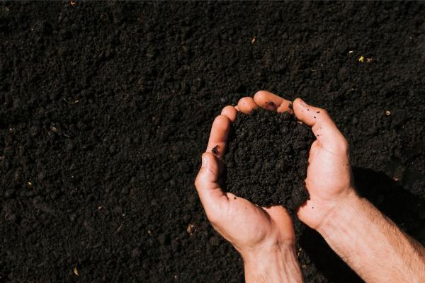 Wurzer Umwelt GmbH Qualitätskompost von Wurzer Umwelt - Nachhaltige Nährstoffe für Landwirtschaft und Gartenbau