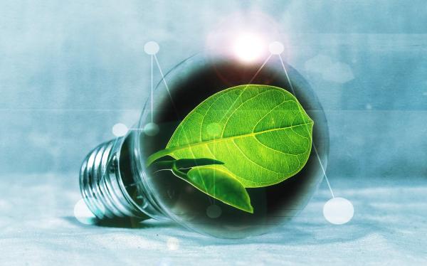 Wurzer Umwelt - Bioenergiezentrum als Vorreiter für erneuerbare Energie aus Bioabfällen