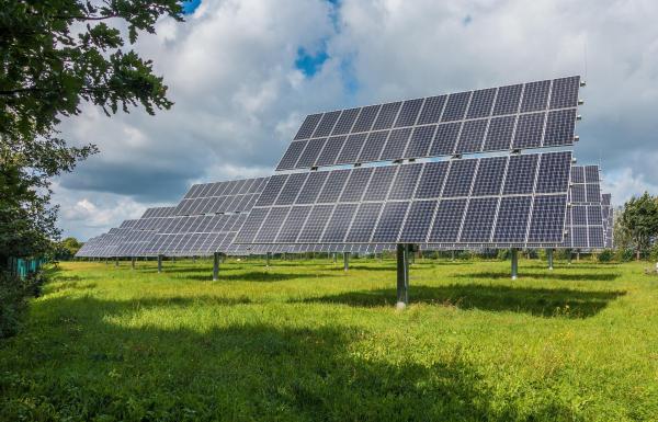 GSD-Naturenergie GmbH investiert international über verbundene Unternehmen auch in Solarkraftwerke. "Jeder Zähler ein Baum": Ökostromanbieter forstet die Heimat auf