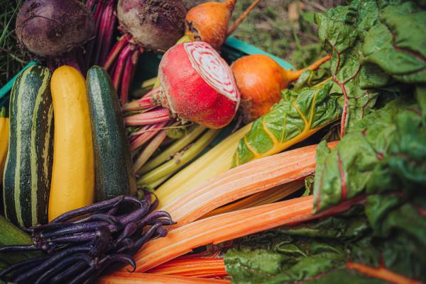Frisches Gemüse |©Knuspr "So sollte Frische schmecken": Knuspr startet Themenaktion zur Haupterntezeit