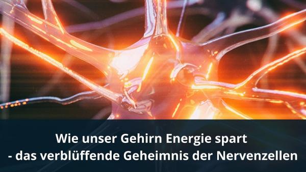 Wie unser Gehirn Energie spart, Redaktion bioresonanz-zukunft.de Wie unser Gehirn Energie spart - das verblüffende Geheimnis der Nervenzellen