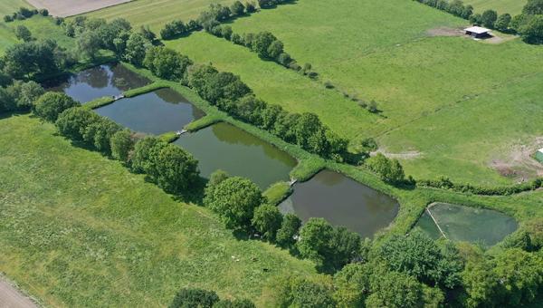 Die Teichkläranlage Linden besteht aus fünf hintereinander liegenden Teichen Schlammabbau extrem: 2.301 m³ Schlamm sind weg