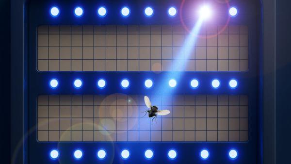 UV-LED-Insektenfalle LED-Technologie revolutioniert UV-Insektenfallen