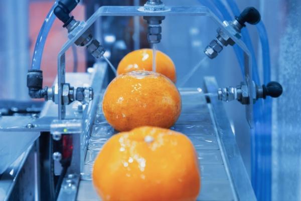 Industrieanlage zur Verarbeitung von Orangen Calciumsulfonat-Schmierfette ohne PFAS