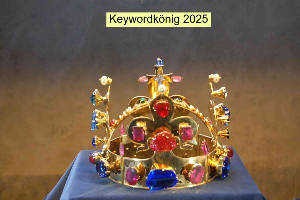 Contest Video Report E-3-05-250517: Sind Keywordkönig Videos hilfreich?