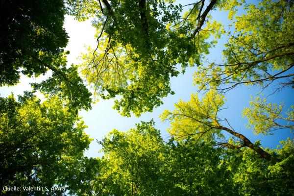 ARAG Experten über Rechte und Regeln im Grünen Grillen, Gassi, Gänseblümchen: Was im Park erlaubt ist und was nicht