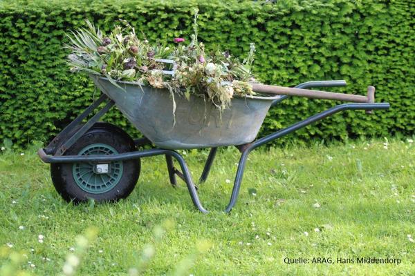 ARAG Experten mit interessanten Gerichtsurteilen aus der grünen Gartenwelt ARAG Verbrauchertipps für Hobbygärtner
