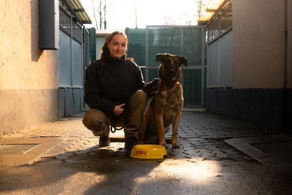 Charity-Aktion: Lieblings-Tierheim per Voting noch bis 31. Mai 2025 unterstützen