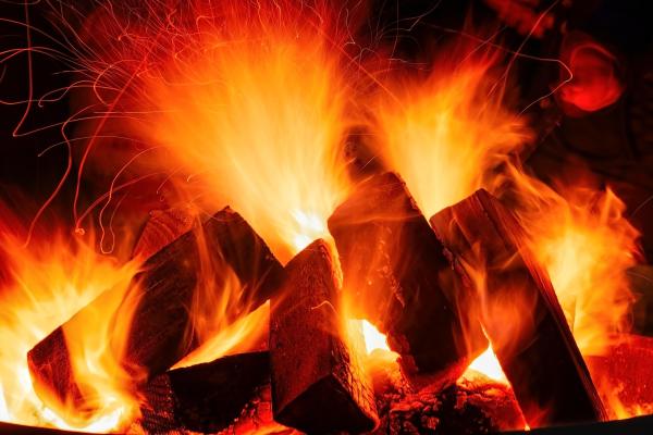 Mit Free-Domain, Spot-Domain und Hot-Domain die Zukunft gestalten