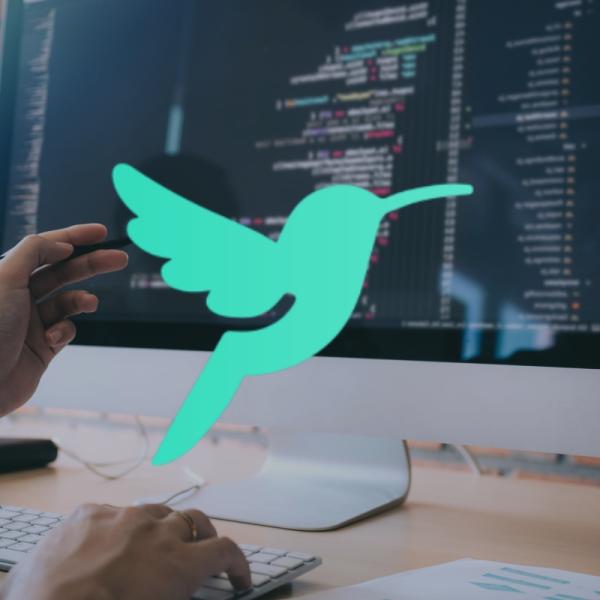 Hummingbird wurde bereits zum Patent angemeldet. MVC Videra launcht Hummingbird