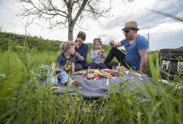In Wiesen und an Waldrändern fühlen sich Zecken leider wohl. Foto: HUK-COBURG Zecken: Klein, aber gemein