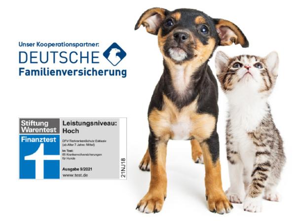 Mit Herz und Verstand: Wie Tierheimat Tierliebe neu definiert