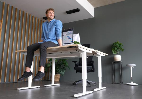Ergotopia-Pro X-1 Ergotopia Studie