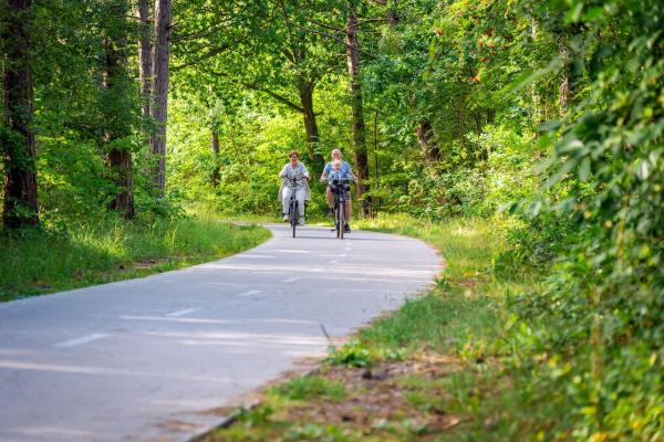 Versteckte Highlights: 5 Geheimtipps für den Sommerurlaub auf Texel