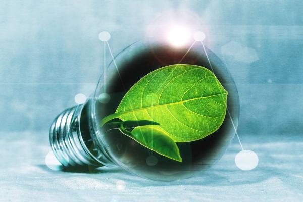 Wurzer Umwelt - Bioenergiezentrum als Vorreiter für erneuerbare Energie aus Bioabfällen