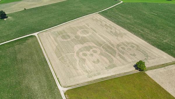 Mysteriöse Geoglyphe in der D/AT Grenzregion entdeckt