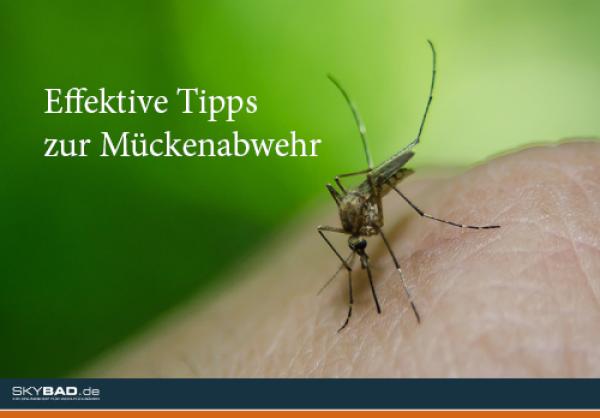 Tipps gegen Mücken Kalte Dusche gegen Mücken