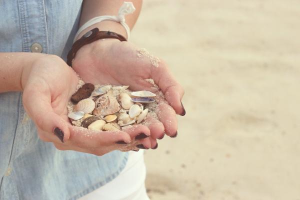 Strandgut sammeln: Oft drohen hohe Strafen