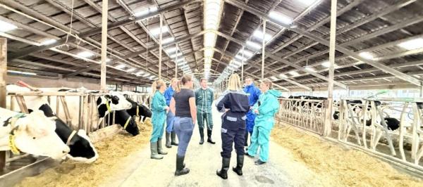 Besprechung einer der AVA-Workshop-Arbeitsgruppen in einem der Ställe der Dringenburg-Milchvieh-GbR in Bottrop durch die Teilnehmenden Tierärzte und Landwirte Erfolgreicher AVA- Fütterungscontrolling-Workshop im Milchkuhbetrieb für Tierärzte, Landwirte und Berater