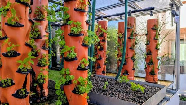 Cube-Farm Aquaponik der Zukunft: Cube-Farm setzt auf ONCITE DPS der German Edge Cloud