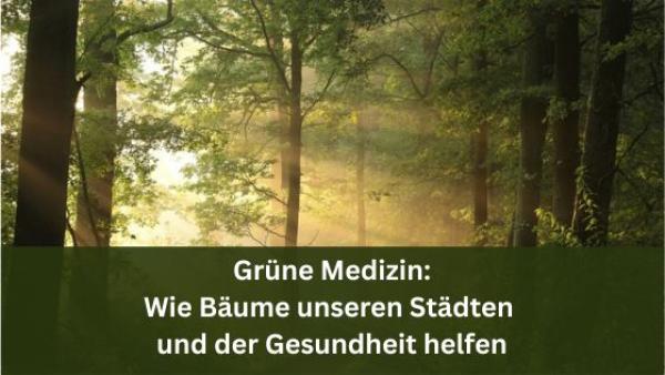 Grüne Medizin: Wie Bäume unseren Städten und der Gesundheit helfen / Redaktion bioresonanz-zukunft Grüne Medizin: Wie Bäume unseren Städten und der Gesundheit helfen
