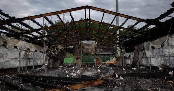 Juristisches Nachspiel nach Stallbrand: Staatsanwaltschaft ermittelt gegen Verantwortliche