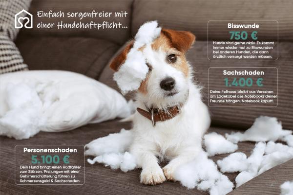 Tierheimat schützt Haustiere und Geldbeutel Tierversicherung von Tierheimat - Finanzielle Sicherheit für Haustiere