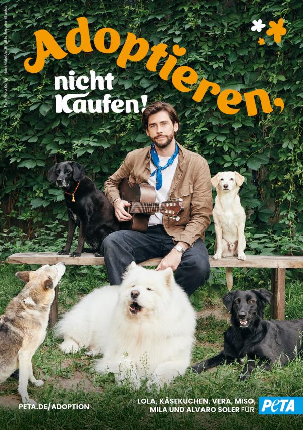 Álvaro Soler bittet alle Menschen einen Hund aus dem Tierheim zu adoptieren. Álvaro Soler, fünf Hunde und ganz viel Liebe: Charismatischer Sänger präsentiert neues PETA-Motiv zum Thema Adoption
