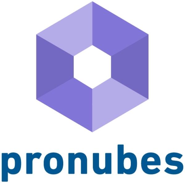 pronubes pronubes - Die Plattform für IT/OT Integration