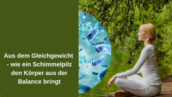 Aus dem Gleichgewicht - wie ein Schimmelpilz den Körper aus der Balance bringt