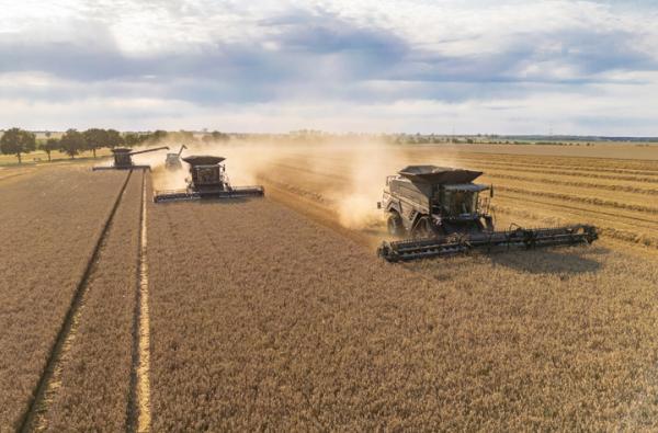 Die AGRAVIS vRaiffeisen AG zieht Bilanz zur Ernte 2025 AGRAVIS Raiffeisen AG zieht Bilanz der Ernte 2025