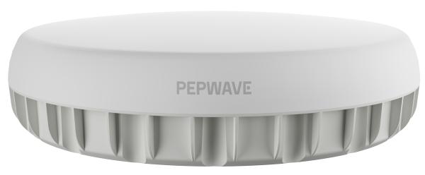 Peplink Antenna MAX Duo: Vitel bietet kompaktes und robustes Antennengehäuse für Dual-Modem-Setup