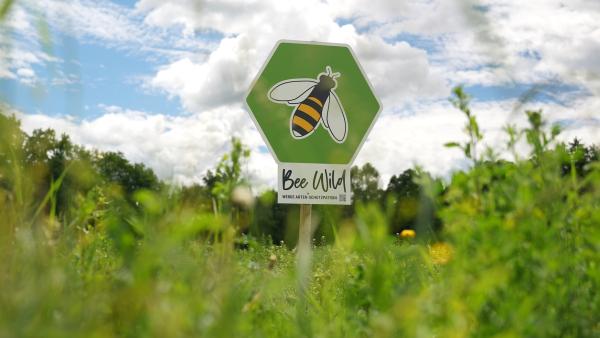 ARCOTEL Hotels x BeeWild ARCOTEL Hotels & BeeWild: Gemeinsam für den Bienenschutz