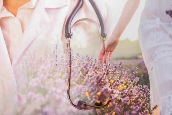 The subtle body could become an integrative part of the lifestyle medicine of the future HRV Study by Ronald Goethert and Dr. Alfred Lohninger Proves Existence of the Subtle Body