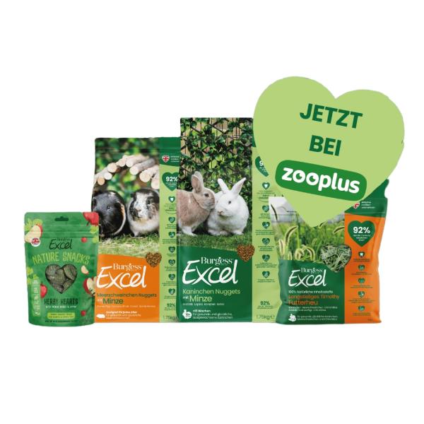 Über den Ärmelkanal: Burgess Pet Care plant seine Meerschweinchen-Aktionswoche nach Deutschland zu holen