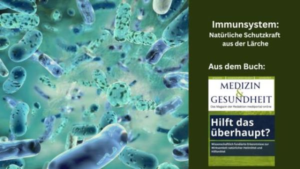 Immunsystem: Natürliche Schutzkraft aus der Lärche Immunsystem: Natürliche Schutzkraft aus der Lärche