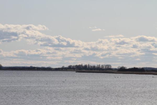 Urlaub mit Hunden am Meer  im Deichhaus St Barbara