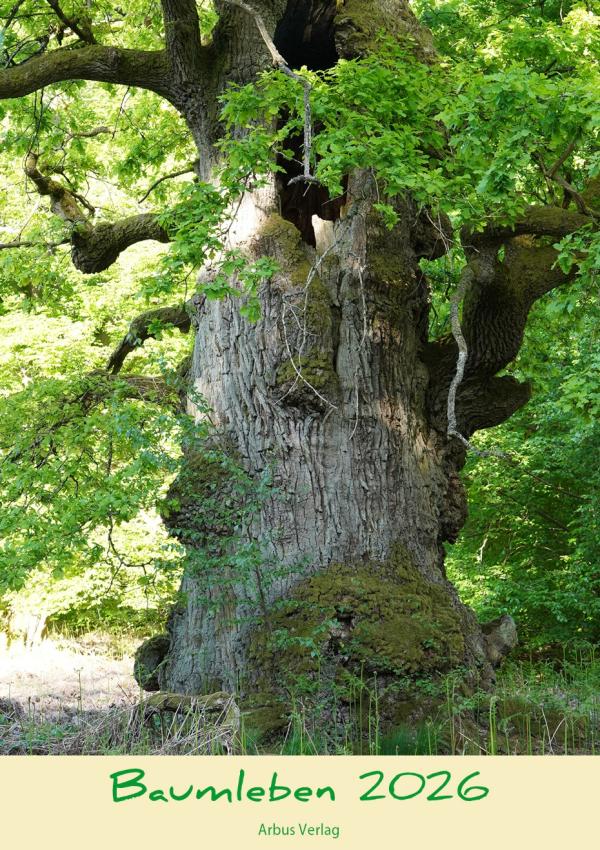 Baumkalender 2026: "Baumleben 2026" - Einzigartige Hommage an sagenhafte, alte Bäume Deutschlands