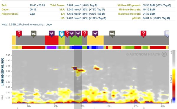 Ein Schlüssel zu tiefer Regeneration - Das vegetative Nervensystem stärken mit Subtle Body Balance nach der Göthert-Methode