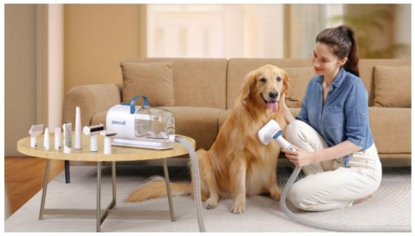 Weihnachtsgeschenke für Hunde