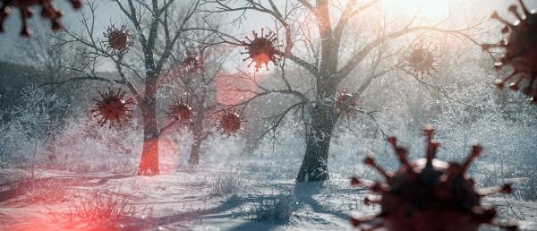 Immunsystem stärken in der Erkältungszeit: Warum der Darm jetzt entscheidend ist