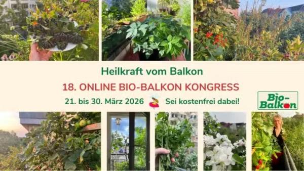 Heilkraft vom Balkon