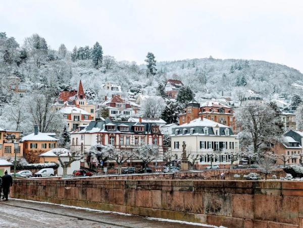 Immobilien verkaufen in Heidelberg: Marktkenntnis, datenbasierte Analyse & gesellschaftliche Verantwortung