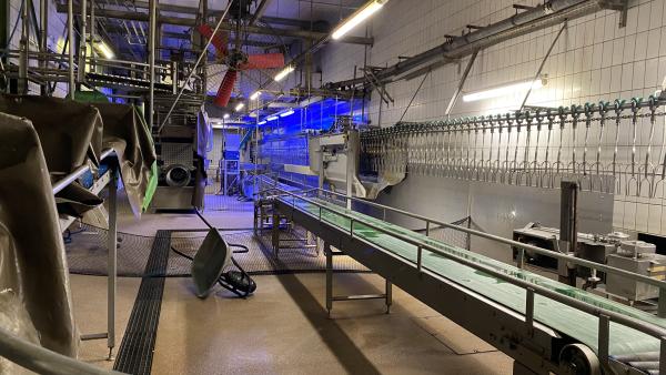 Schlachthof Buckl wird abgewickelt - Strafbefehle nach Tierquälerei verhängt