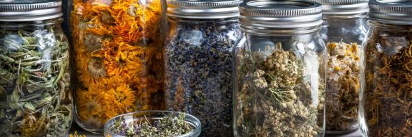 Wenn Medizin den Menschen wieder als Ganzes betrachtet