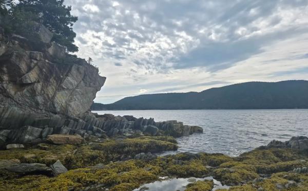 Gold Hunter greift an: Great Northern bereit für erste Bohrkampagne in Neufundland