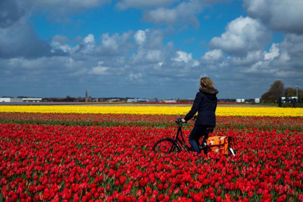 Entspannen in Zandvoort: Badeort lockt mit besonderen Frühlings-Highlights